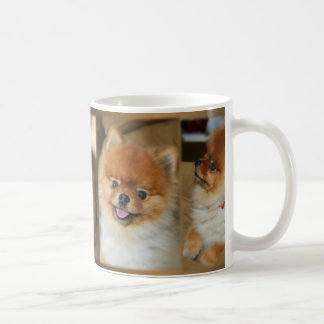 Tasse de Pomeranian