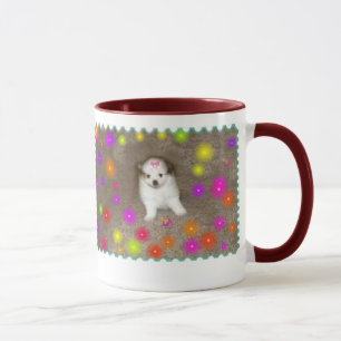 Tasse de Pomeranian de bébé