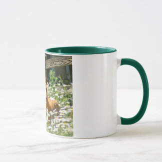 Tasse de poney de gallois