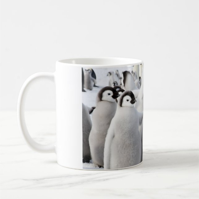 Tasse de poussins de pingouin d'empereur (Gauche)