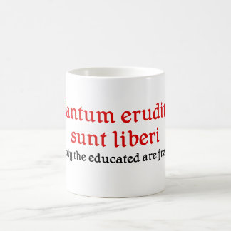 Tasse de professeur avec l'expression latine