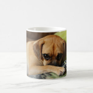 Tasse de puanteur timide