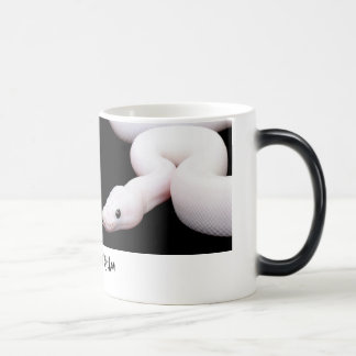 Tasse de python de boule de Leucistic