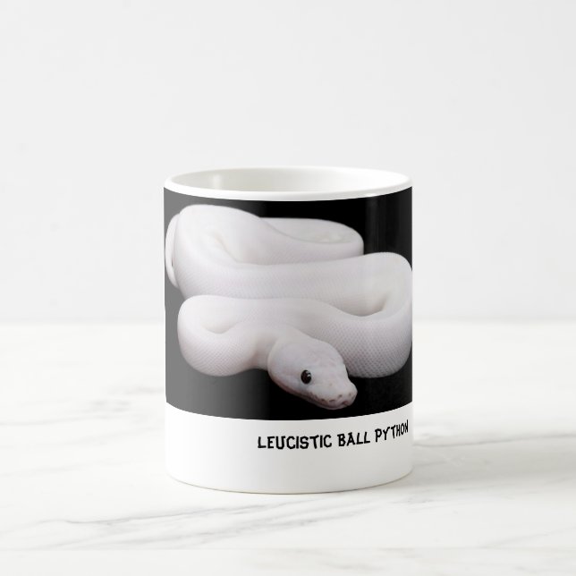 Tasse de python de boule de Leucistic # 2 (Centre)
