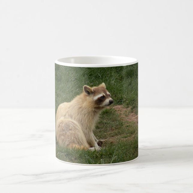 Tasse de Racoon (Centre)