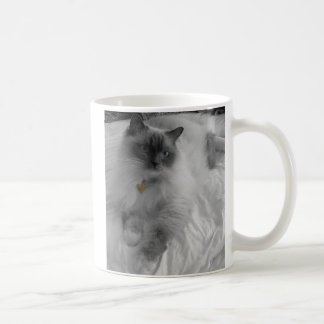 Tasse de Ragdoll