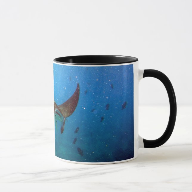Tasse de rayon de Manta d'Hawaï de baie de Hanauma (Droite)