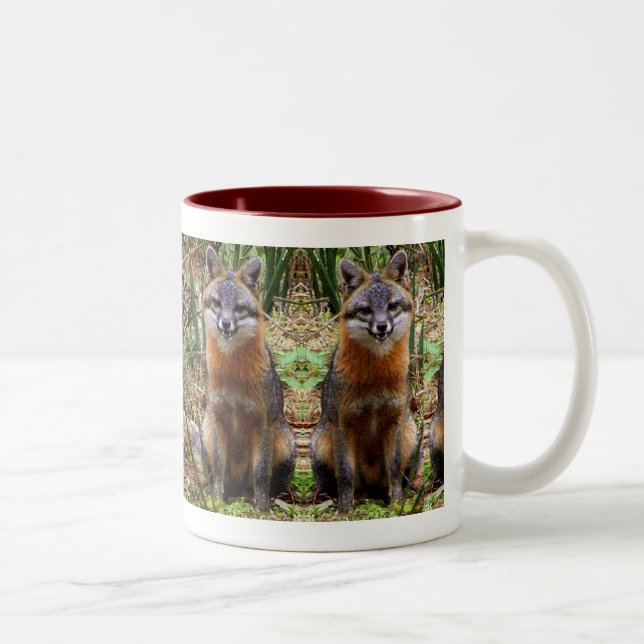 TASSE DE RENARD (Droit)