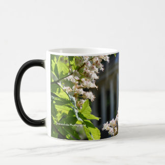Tasse "de ressort de terre de parc"
