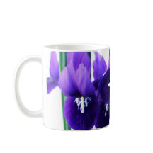 Tasse de Reticulata d'iris