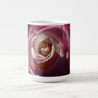 Tasse de rose de rose