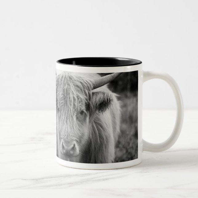 Tasse de roucoulement de Heilan (Droit)