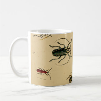 Tasse de scarabées