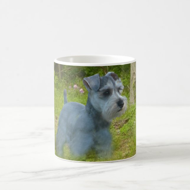 Tasse de Schnauzer miniature (Centre)