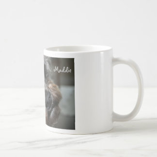 Tasse de Schnoodle