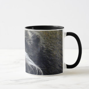 Tasse de tamarin d'empereur