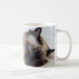 Tasse de tasse de café de tasse d'animal familier