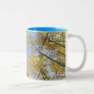 Tasse de ton de l'arbre deux d'Aspen