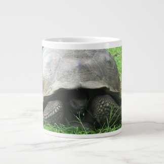 Tasse de tortue géante