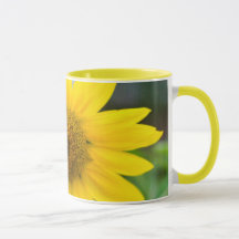 tasse de tournesol