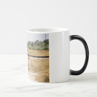 Tasse de train