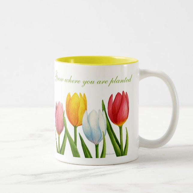 Tasse de tulipe de ressort (Droit)