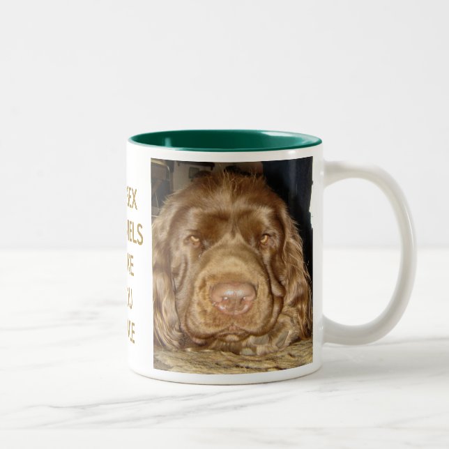 Tasse de visage d'épagneul de Sussex (Droit)