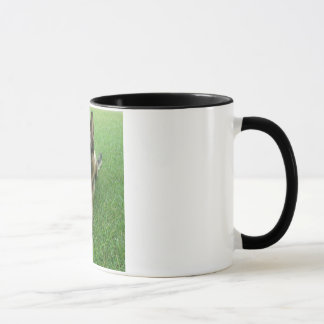 Tasse de Warwick
