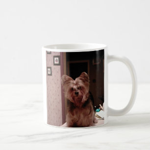 Tasse de Yorkie