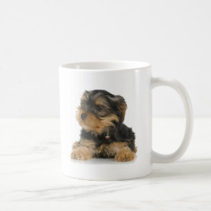 Tasse de Yorkshire Terrier
