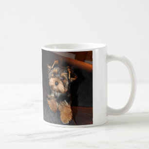 Tasse de Yorkshire Terrier