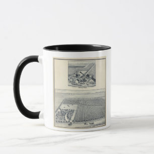 Tasse Deardorff et Centennial Vineyards, Californie