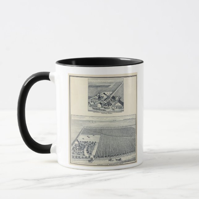Tasse Deardorff et Centennial Vineyards, Californie (Gauche)