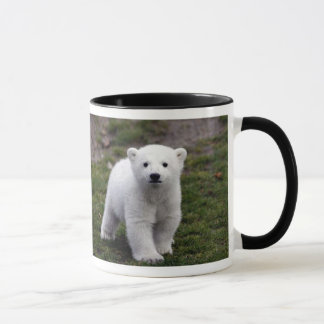 TASSE DÉCHIRURE KNUT
