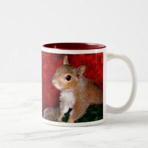 Tasse d'écureuil