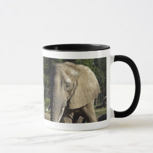 Tasse d'éléphant