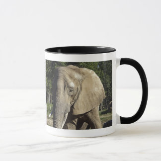 Tasse d'éléphant