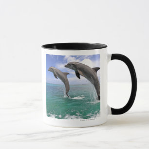 Tasse Delfin, Delphin, Tuemmler plus brut, Tursiops 4