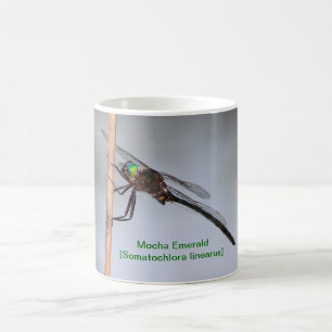 Tasse d'émeraude de moka