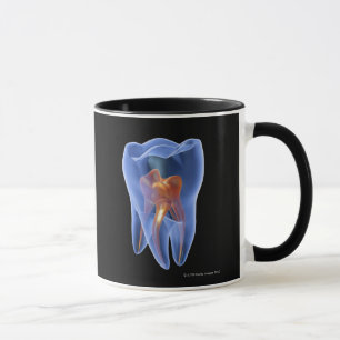 Tasse Dent, section transversale transparente d'une