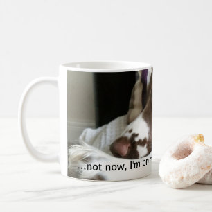 Tasse d'épagneul de springer anglais