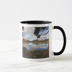Tasse Derwentwater, district des lacs, Cumbria, Angleter