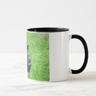 Tasse des gorilles 015