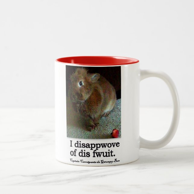 Tasse désapprobatrice de ton du lapin deux (Droit)