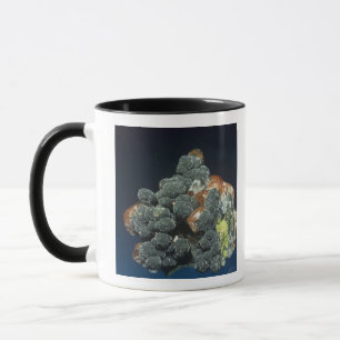 Tasse Descloizite sur la calcite
