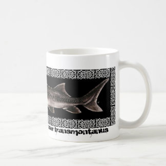Tasse d'esturgeon - esturgeon blanc