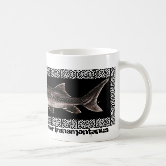 Tasse d'esturgeon - esturgeon blanc (Droite)