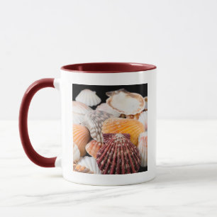 Tasse Détail de coquillages du monde entier 2