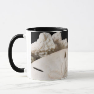 Tasse Détail Des Coquillages Du Monde Entier