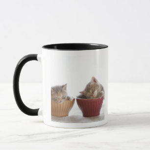Tasse Deux chatons dormant dans des cuvettes